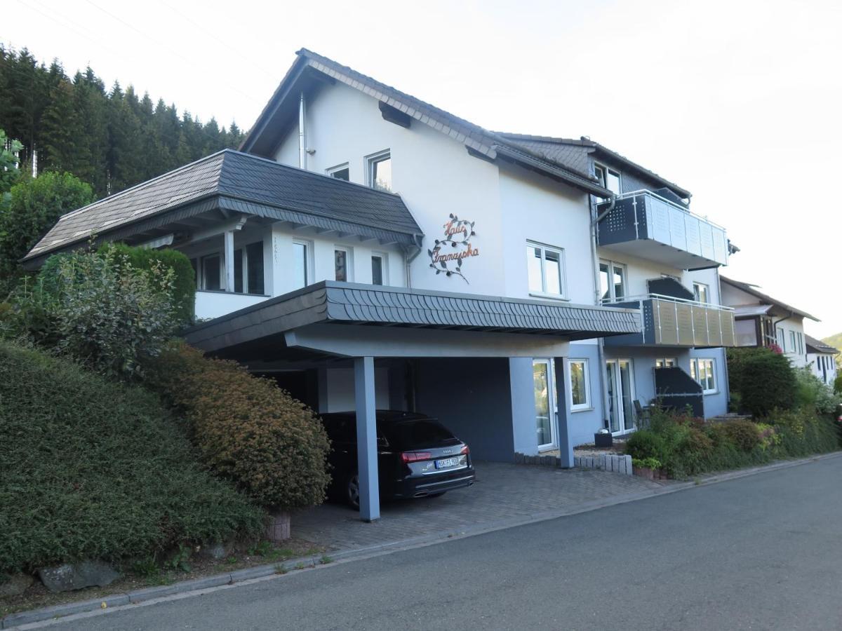 Top Fewo Mit Sommercard Winterberg Exterior foto